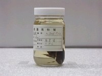 藏品(羽高身雀鯛)的圖片